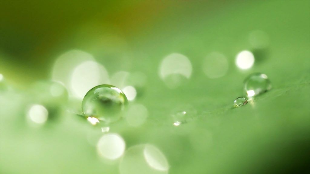 Primer plano de una gota de agua en una hoja